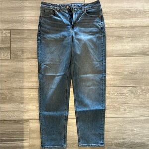 American Eagle Outfitters Blue Ankle Cropped Stretch Jeans